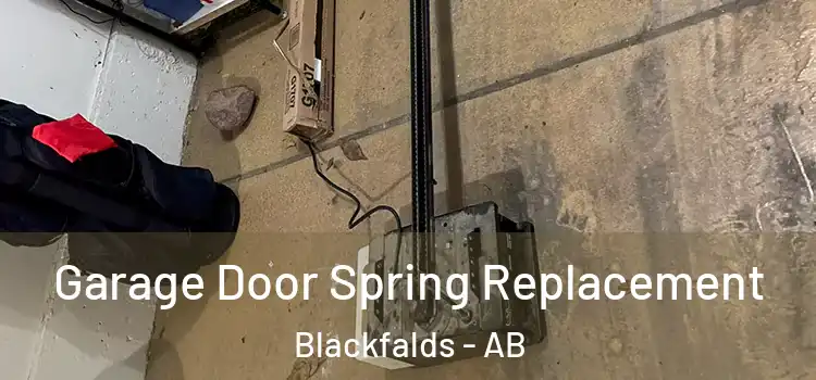  Garage Door Spring Replacement Blackfalds - AB