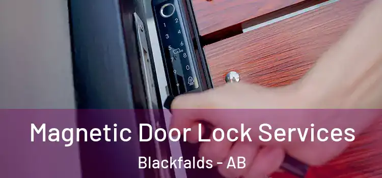 Magnetic Door Lock Services Blackfalds - AB